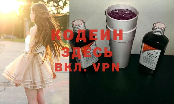 мдпв Весьегонск