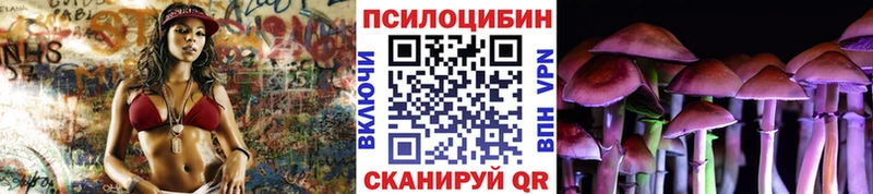 Псилоцибиновые грибы Psilocybine cubensis  Исилькуль 